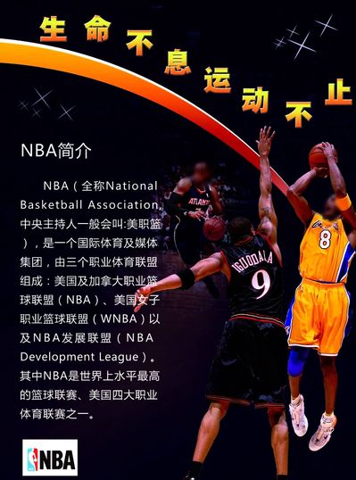 实力的